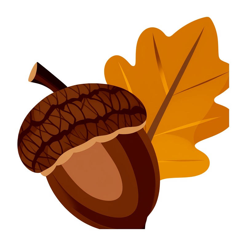 Autumn Maple Leaf Heat Transfe - огляд і ціна Iron On Patch