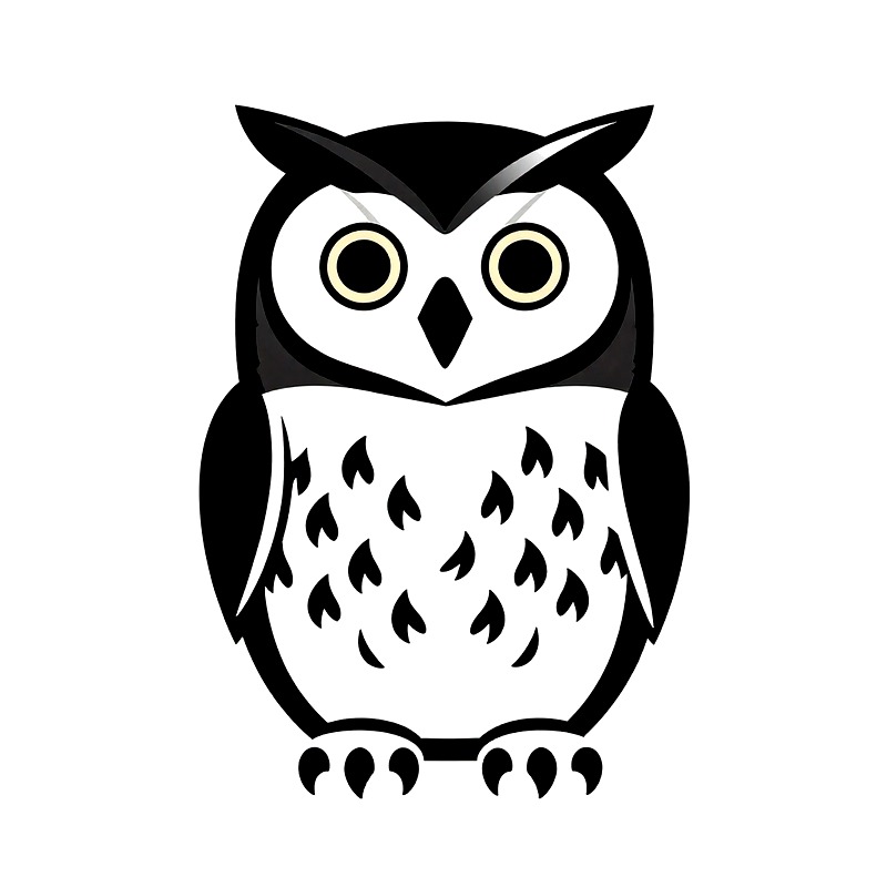 Owl Heat Transfer Vinyl HTV Ir - огляд і ціна Iron On Patch